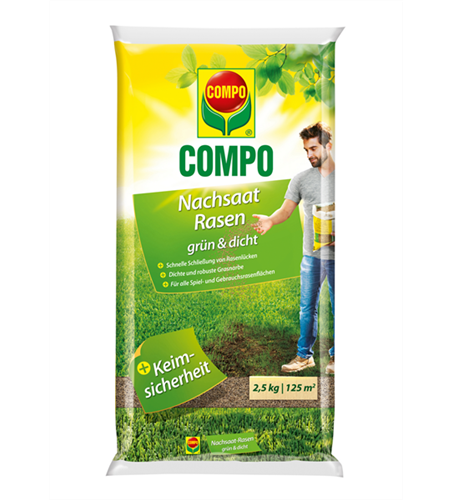 Compo Nachsaat-Rasen grün und dicht 